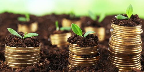 Business concept: golden coins in soil with young plants on nature background